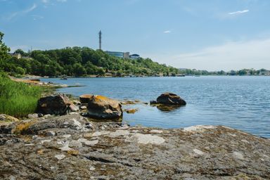 Sea shore scenery