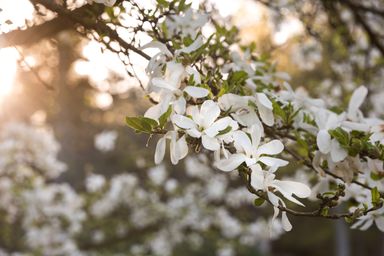 Blekinge in the spring